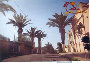 ORAN 2003 08 AVENUE DES PALMIERS ET ANNEXE